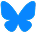 DiData logo