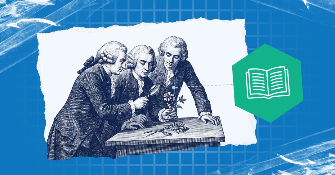 From Cabinet to Laboratory: How Observation Became Organization