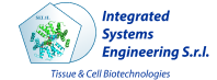 Isenet logo